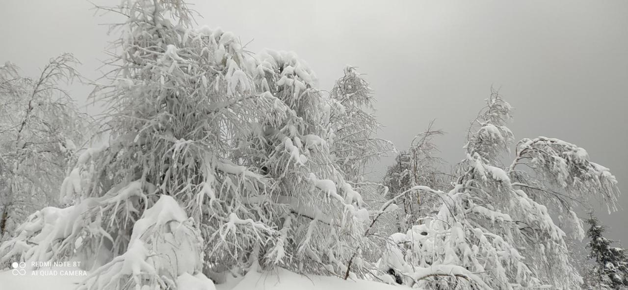 Appartamento Na Malej Szklarska Poręba Esterno foto