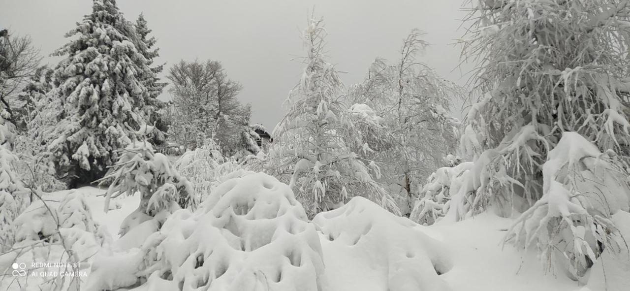 Appartamento Na Malej Szklarska Poręba Esterno foto