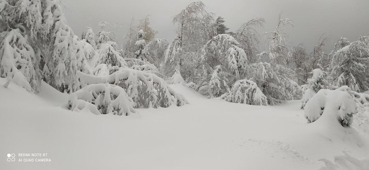 Appartamento Na Malej Szklarska Poręba Esterno foto