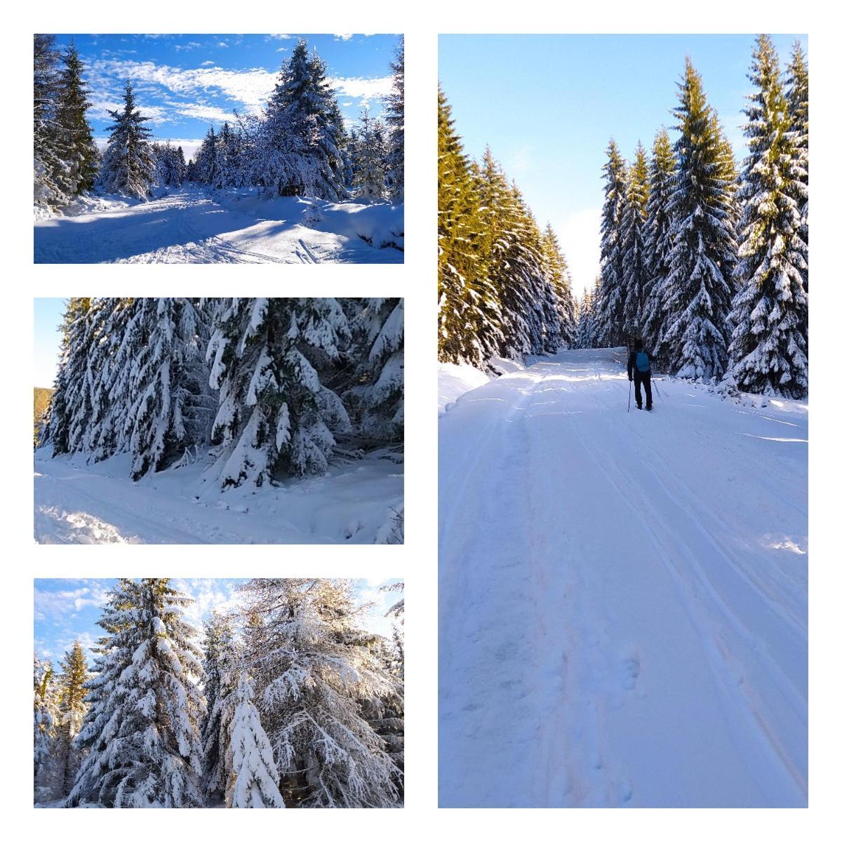 Appartamento Na Malej Szklarska Poręba Esterno foto
